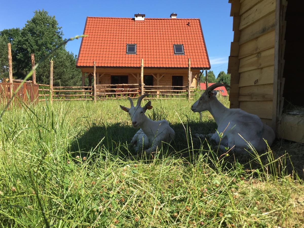 Villa Wypoczynek Na Mazurach U Sebka Łukta Exterior foto